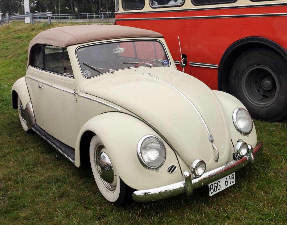 IMG_20190810_082243b (Medium).jpg, 205.16 kb, 978 x 768