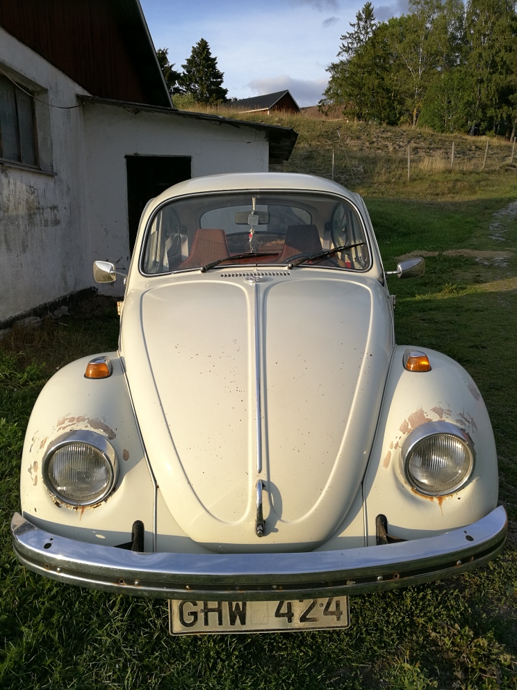 IMG_20190813_192626_resized_20190828_074405061.jpg, 413.3 kb, 744 x 992