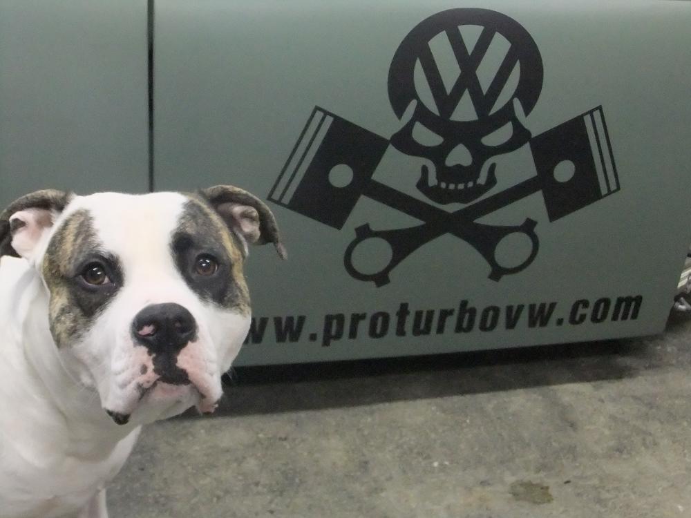 juj25.JPG, 78.84 kb, 1000 x 750