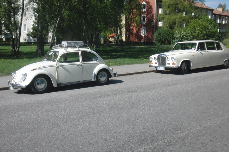 CIMG3123 (800x533) (2).jpg, 338.05 kb, 800 x 533