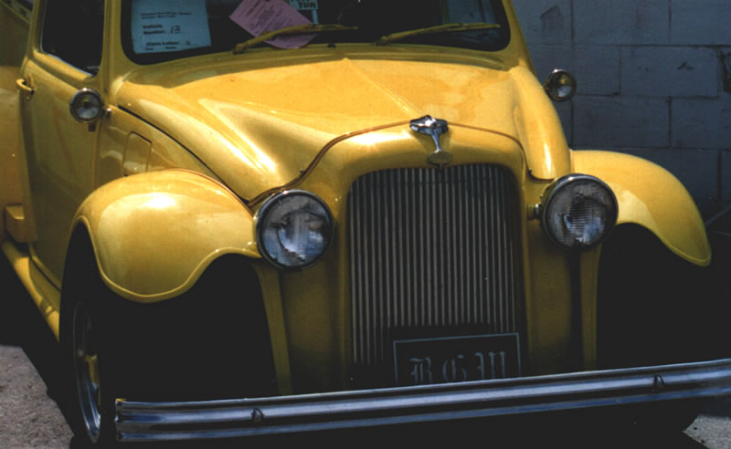 beetle 32.jpg, 56.84 kb, 800 x 492