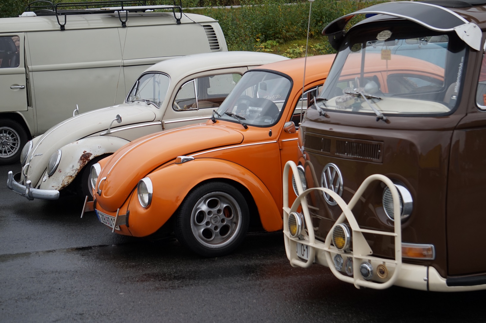 29_08.JPG, 489.03 kb, 1637 x 1090