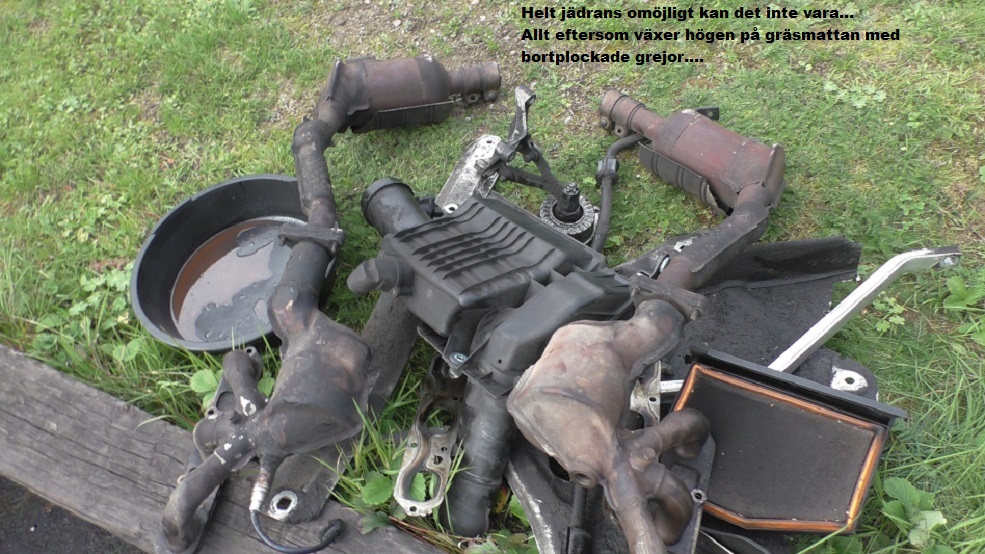 Liten vecka 8.jpg, 265.1 kb, 985 x 554