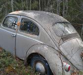 2012-05-06 020.jpg, 6.95 kb, 168 x 152