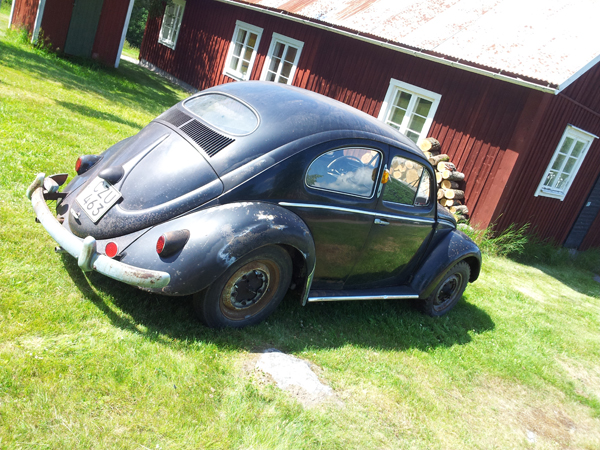 oval1-small.jpg, 355.2 kb, 600 x 450