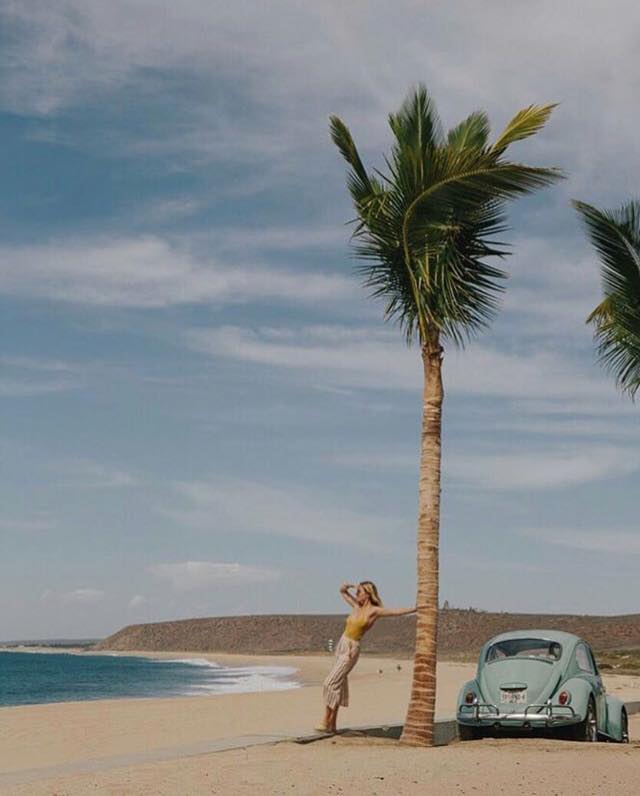 238.jpg, 39.4 kb, 640 x 796