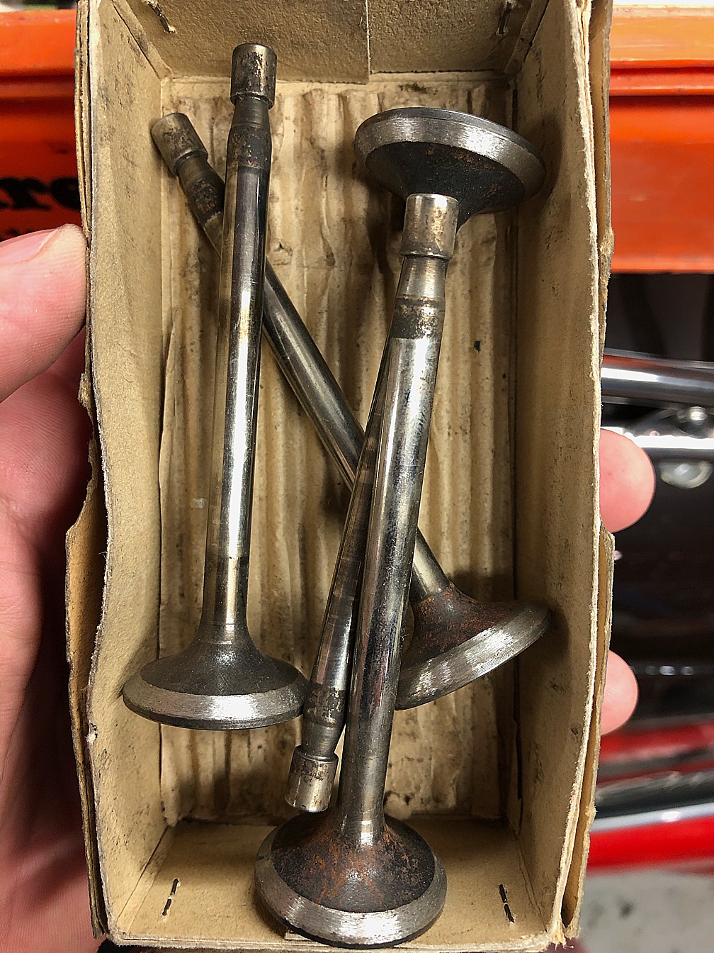 694C9B77-8857-4542-8DE8-B5355328BE04.jpeg, 494.29 kb, 1008 x 1344