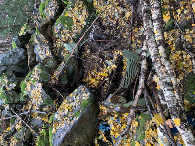 E5C40863-FE30-4E54-90AA-12624431DF05.jpeg, 213.61 kb, 640 x 480