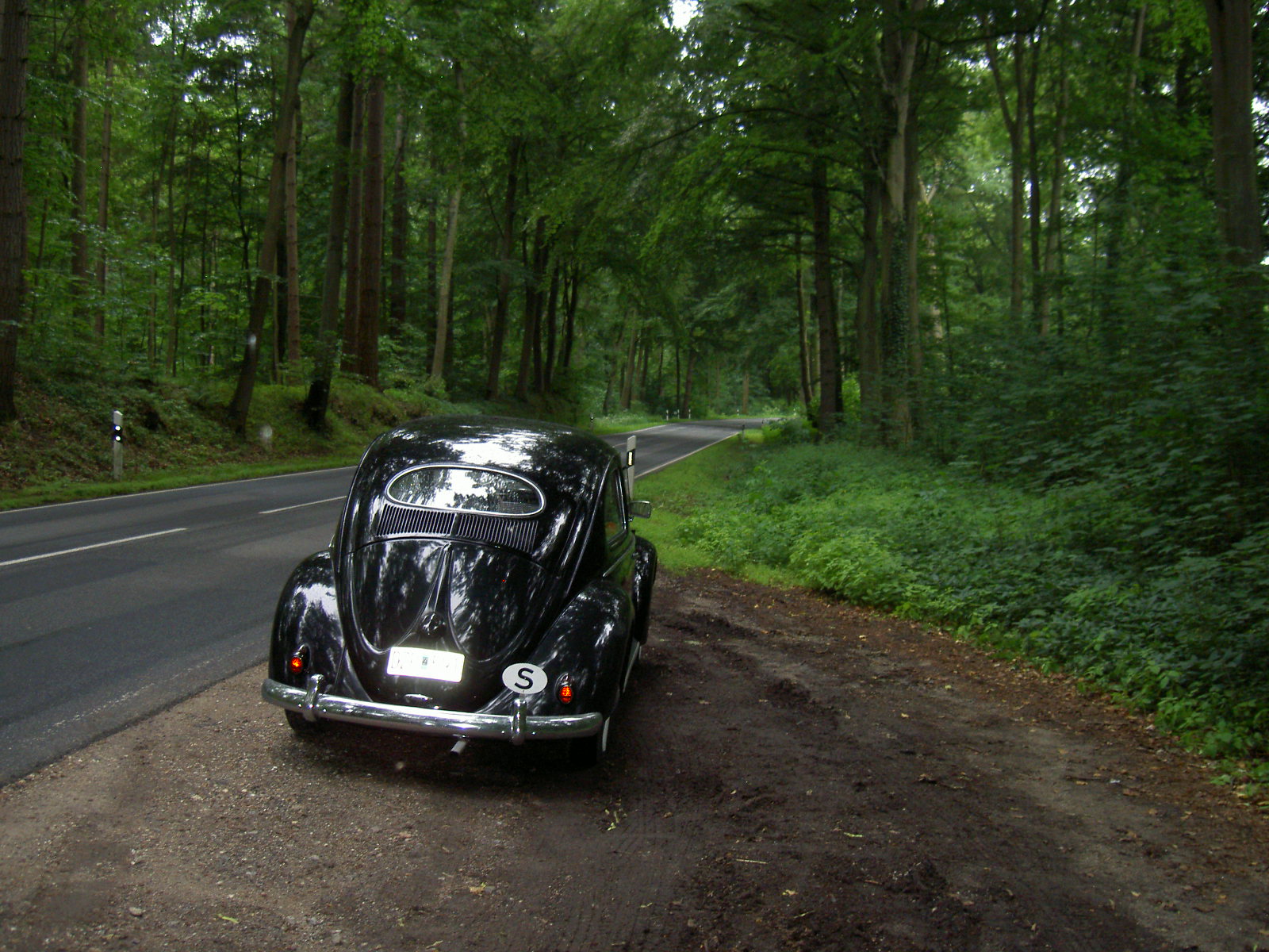 PICT2207.JPG, 446.54 kb, 1600 x 1200