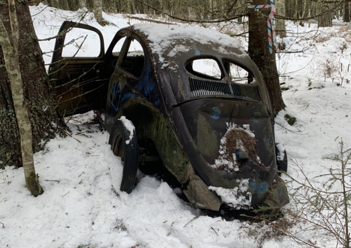 6F404973-60B5-4A14-849A-FEC117C0671C.jpeg, 330.84 kb, 1125 x 795