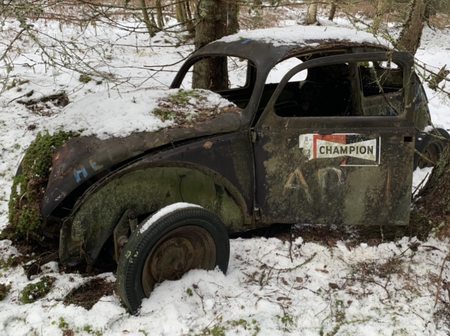 ED9A9E59-1E7C-4DF9-8211-23804D6B6FE4.jpeg, 263.22 kb, 884 x 661