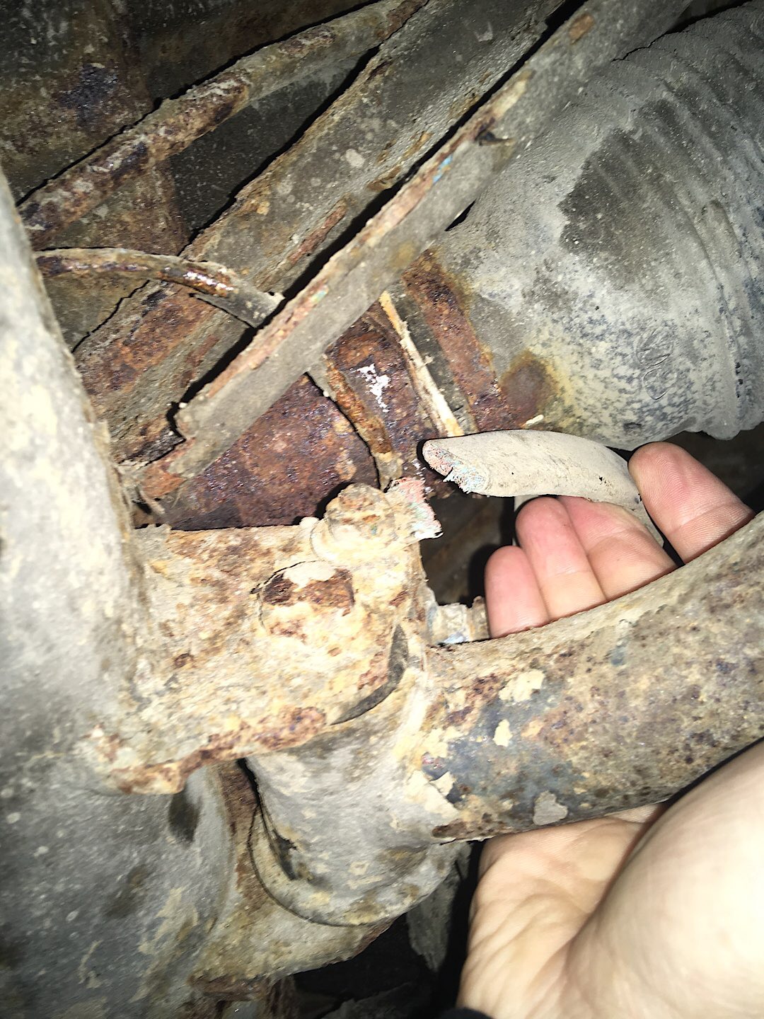 D435F8D3-87AB-45BD-B67D-2F9DEABE6CE2.jpeg, 497.4 kb, 1080 x 1440