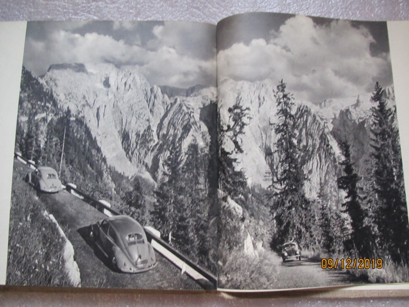 IMG_9028 (800x600).jpg, 290.11 kb, 800 x 600