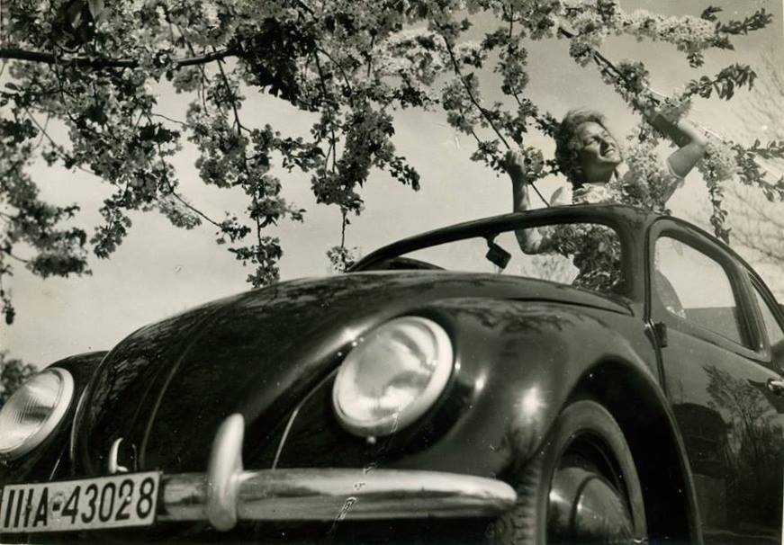 300.jpg, 81.78 kb, 871 x 606