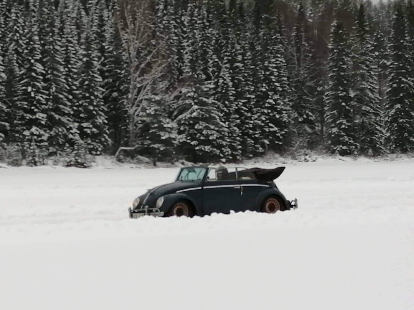 BAE0EF25-EBA7-414C-985A-2ED088AB3A34.jpeg, 243.66 kb, 1600 x 1200