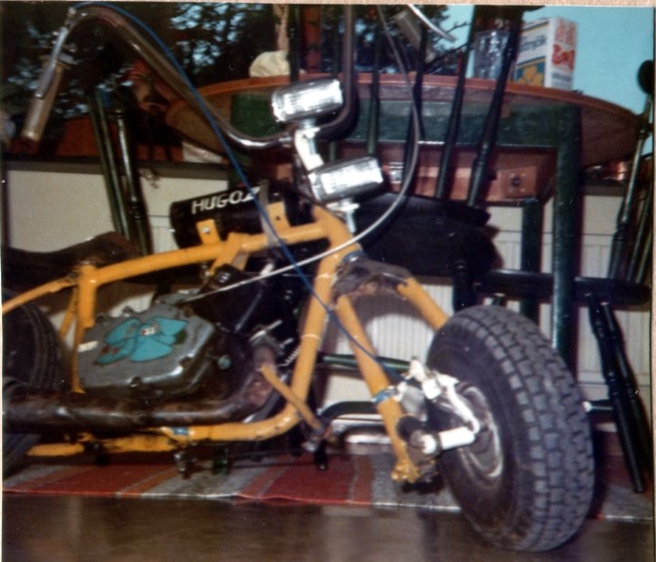 hugo II (Medium)b.jpg, 113.17 kb, 725 x 621