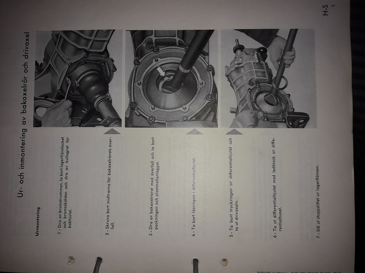 20200307_080956.jpg, 295.14 kb, 1200 x 900