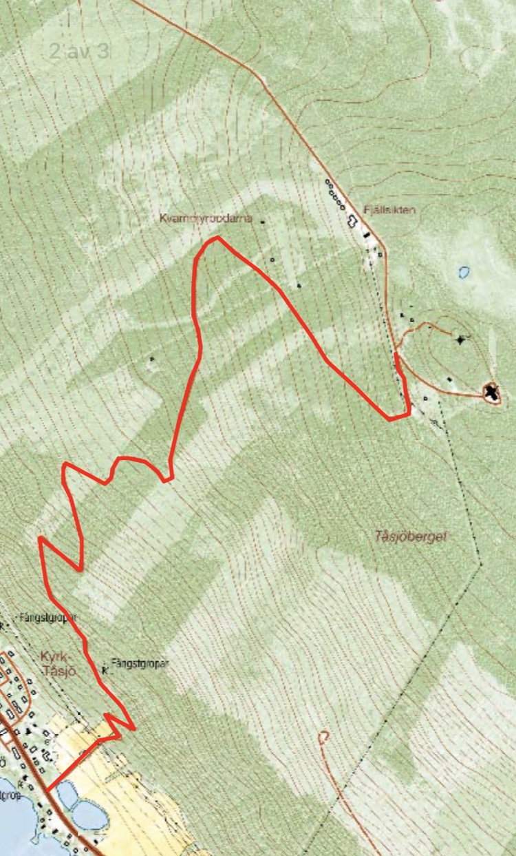 B247431A-4418-413E-9E3B-0C969D6F3219.jpeg, 379.35 kb, 750 x 1243