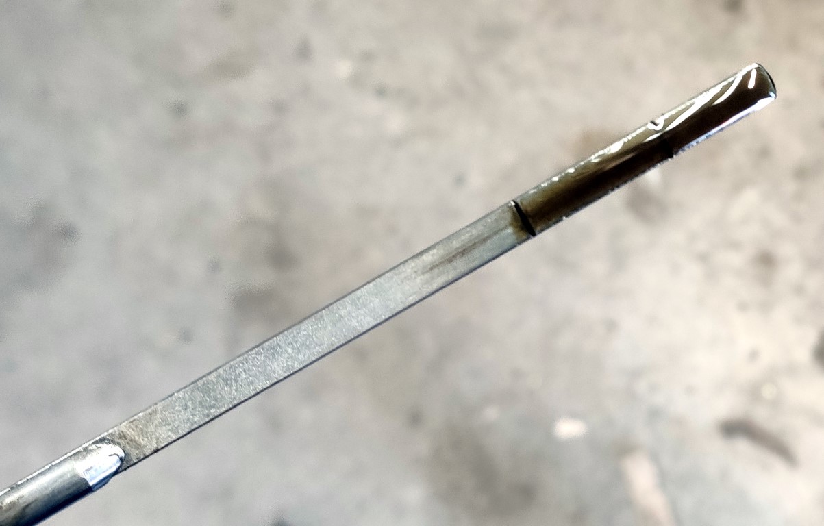 IMG_20200325_112512b (Medium).jpg, 128.88 kb, 1203 x 768