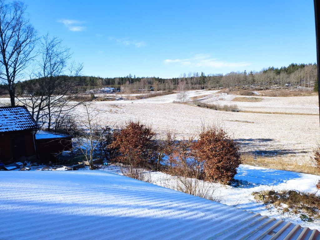 IMG_20200403_100122_1 (Medium).jpg, 302.47 kb, 1024 x 768