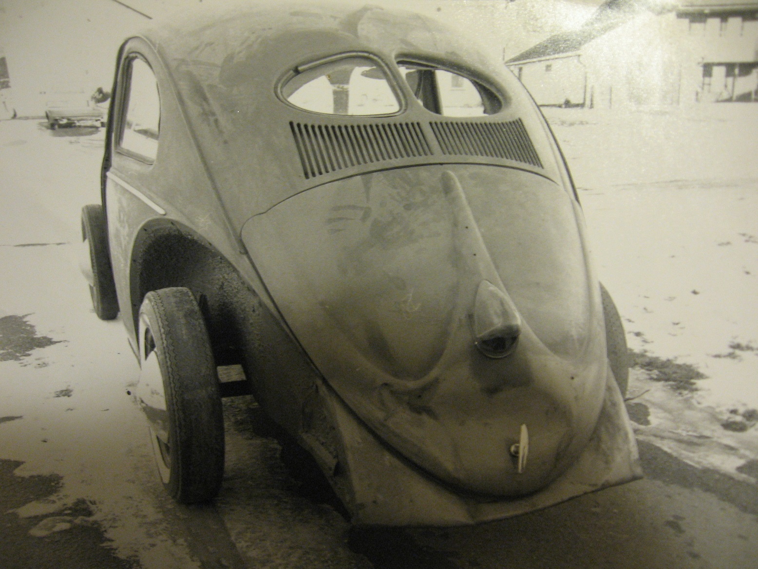 IMG_7813.JPG, 498.21 kb, 1556 x 1167