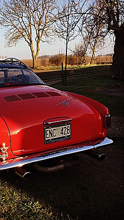 FB79F261-B95F-4003-9417-8598DE90D8FE.jpeg, 73.08 kb, 250 x 444