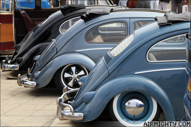 IMG_5529.jpg, 138.56 kb, 800 x 533