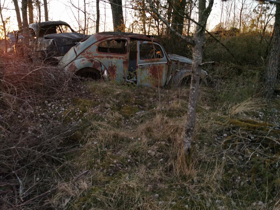 93166683_10158382595326263_8789983006027677696_n.jpg, 107.34 kb, 960 x 720