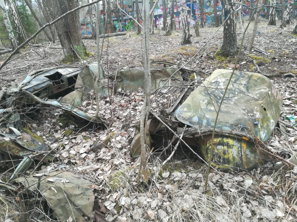 IMG_20200419_154606_resized_20200419_070527411.jpg, 605.67 kb, 992 x 744