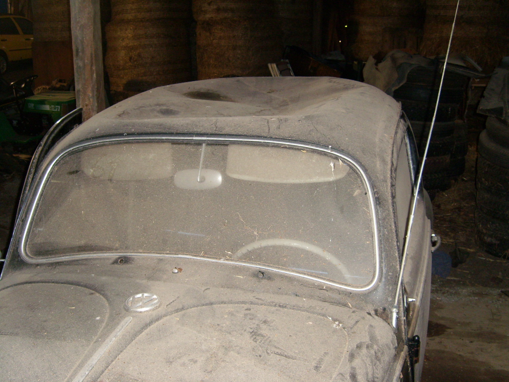 SL273368.JPG, 401.72 kb, 1024 x 768