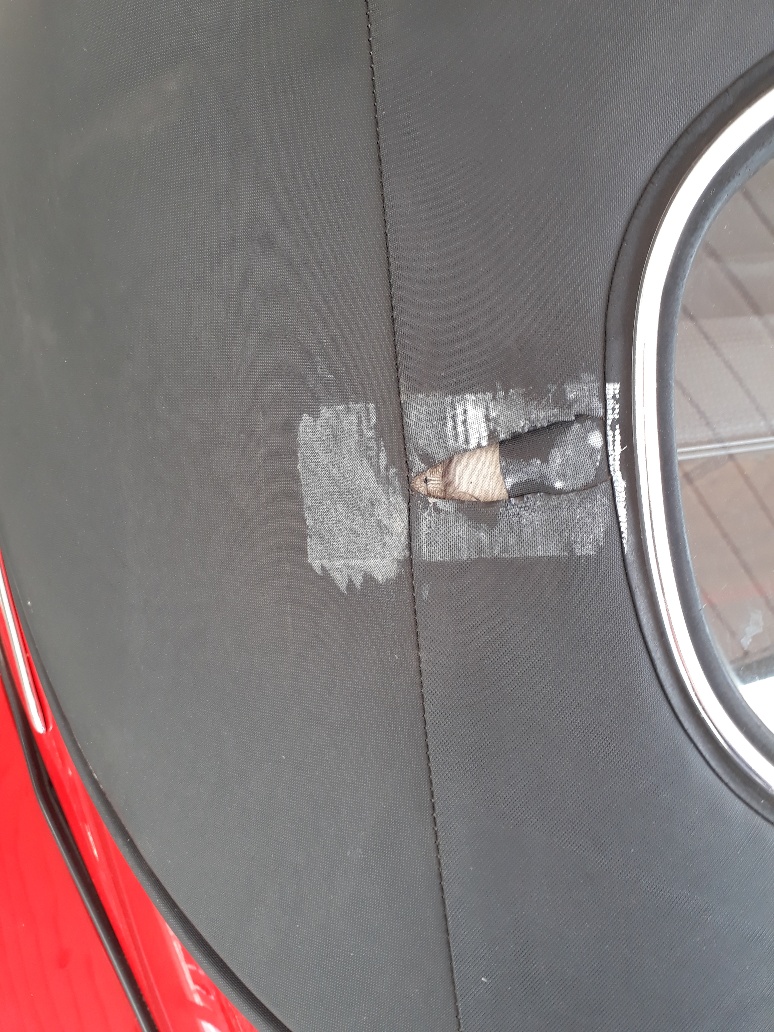 20200430_154910_resized.jpg, 326.56 kb, 774 x 1032