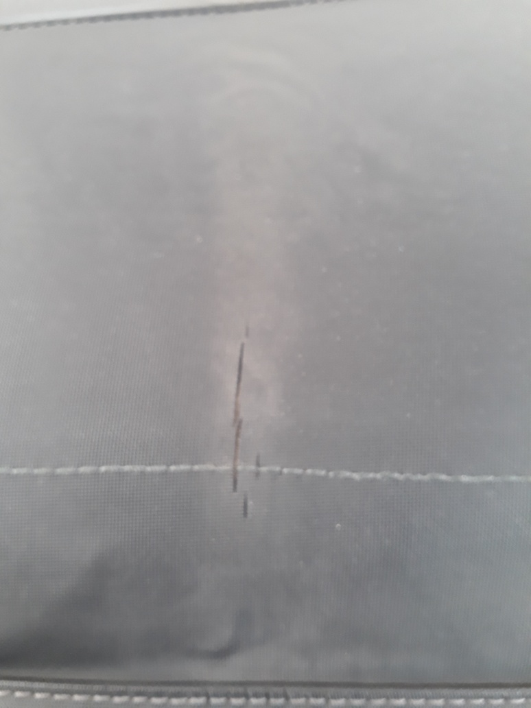 20200430_154919_resized.jpg, 119.88 kb, 774 x 1032