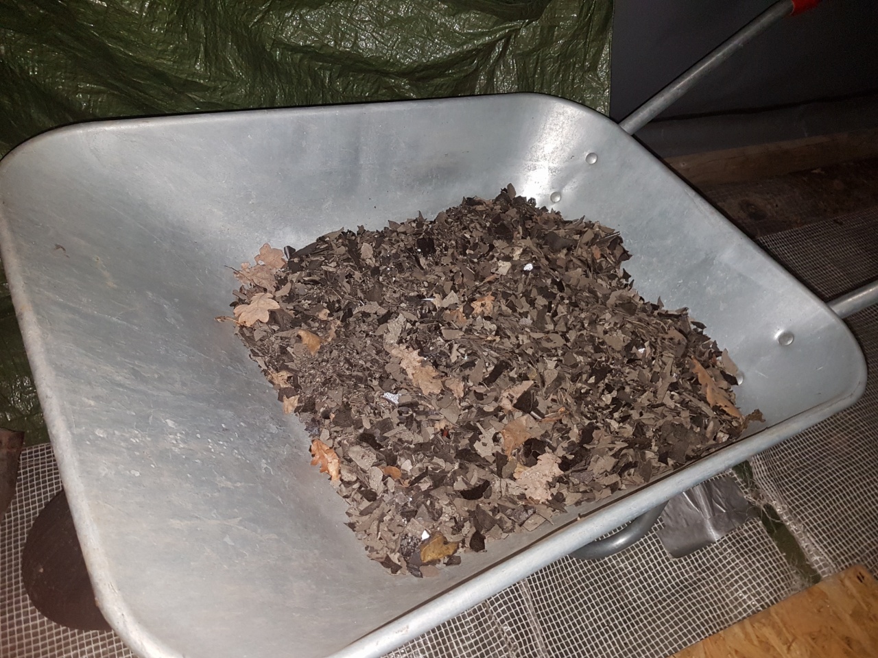 4282020193932.jpg, 497.18 kb, 1280 x 960