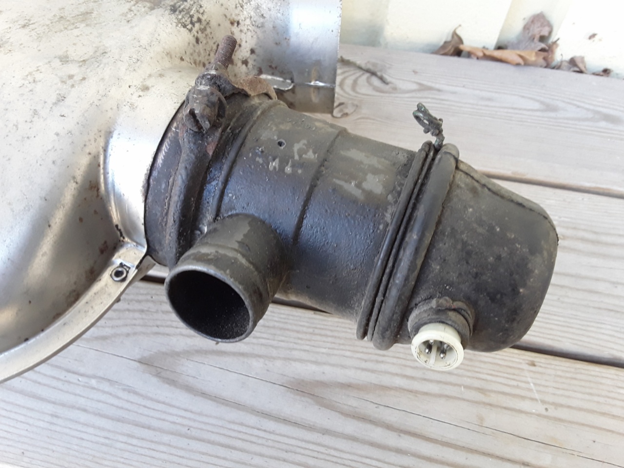 4282020194922.jpg, 311.52 kb, 1280 x 960