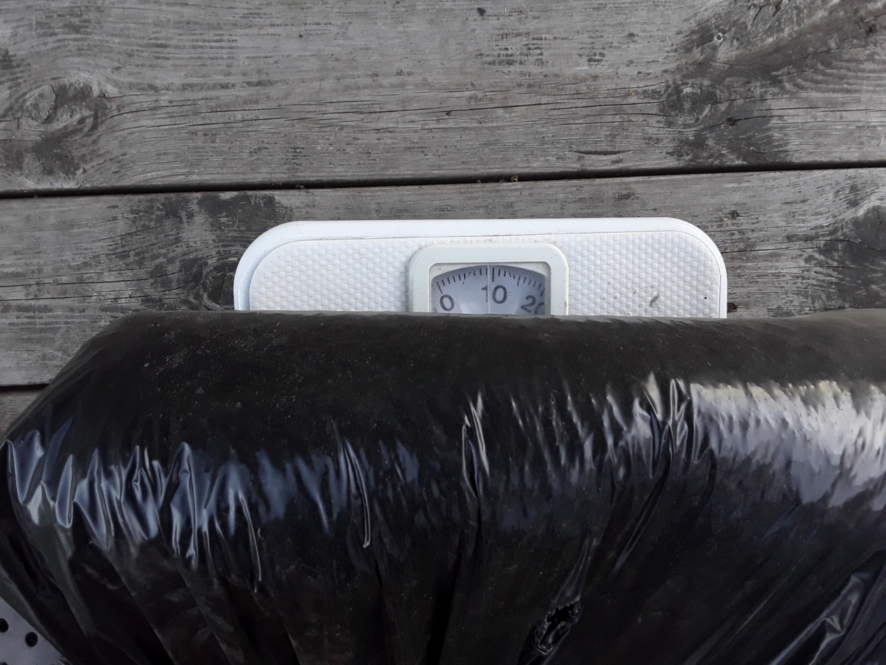 428202021115.jpg, 371.54 kb, 1280 x 960