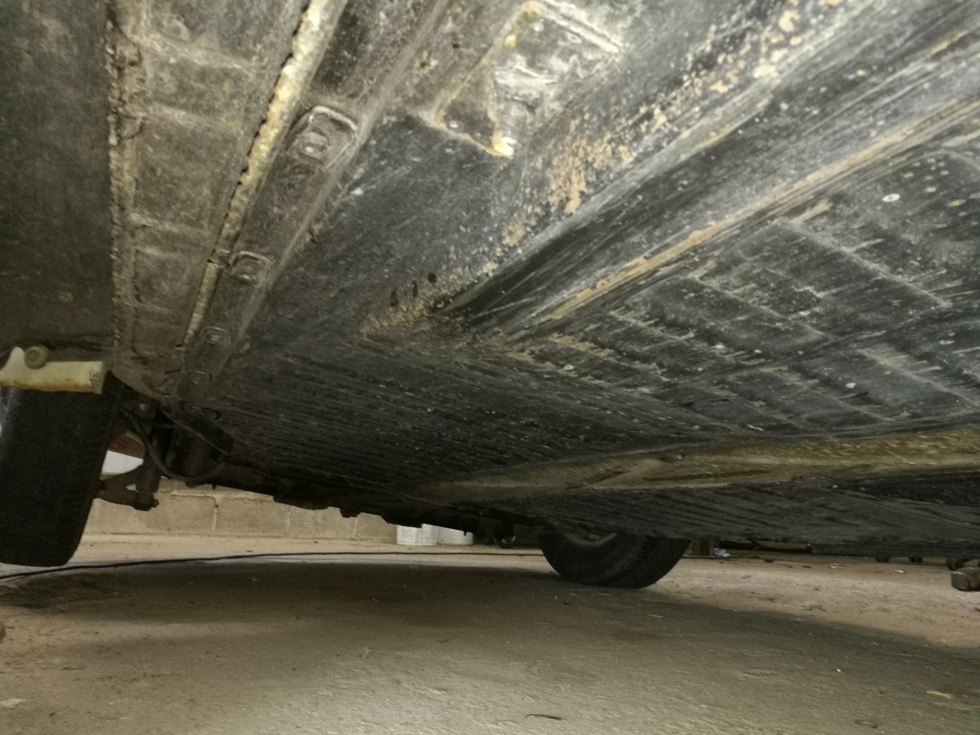 IMG_20170820_200508.jpg, 801.09 kb, 1984 x 1488