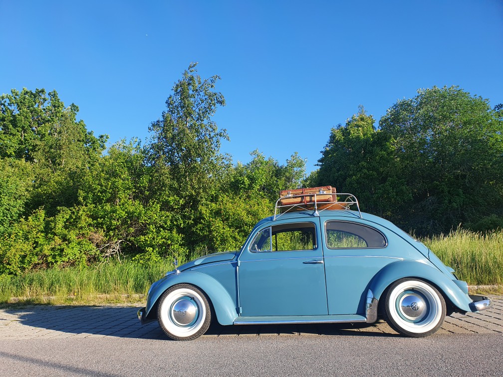 Resized_20200610_195514.jpg, 289.51 kb, 1008 x 756