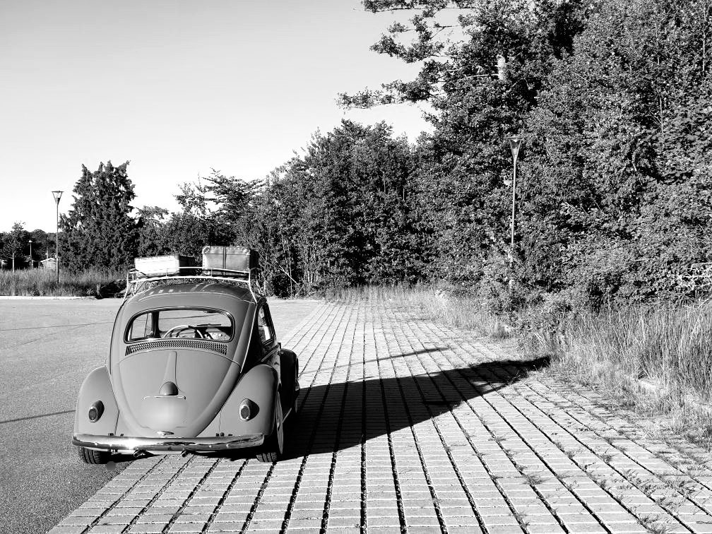 20200619_082252.jpg, 344.27 kb, 1008 x 756