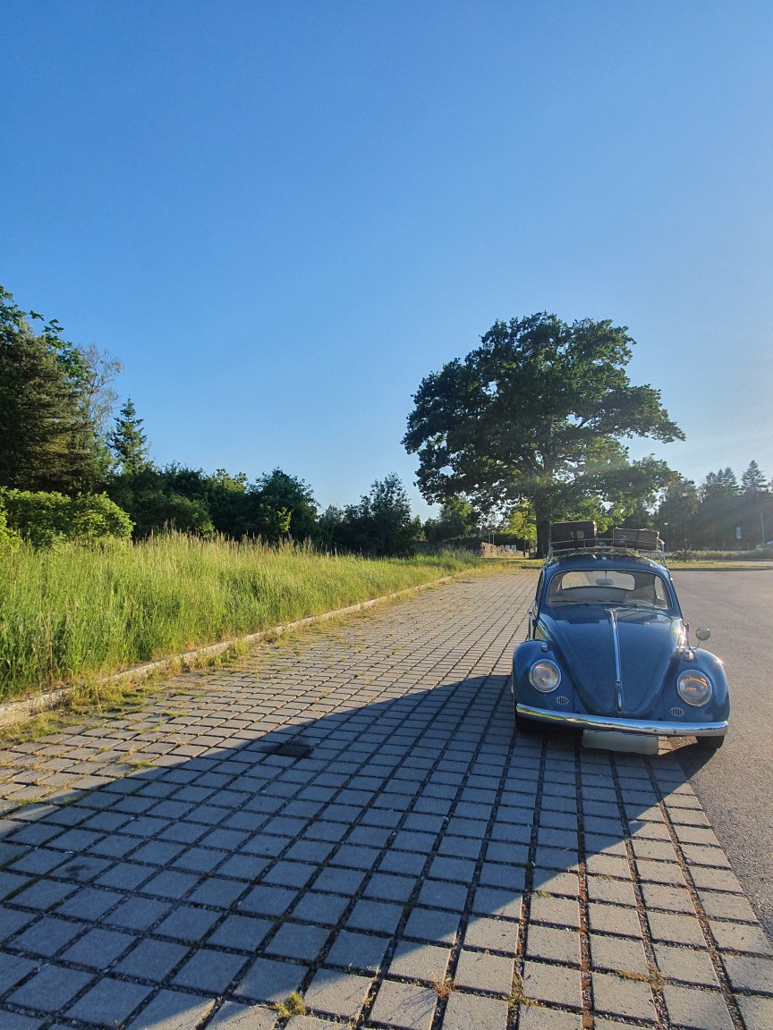 20200619_082906.jpg, 310.12 kb, 864 x 1152