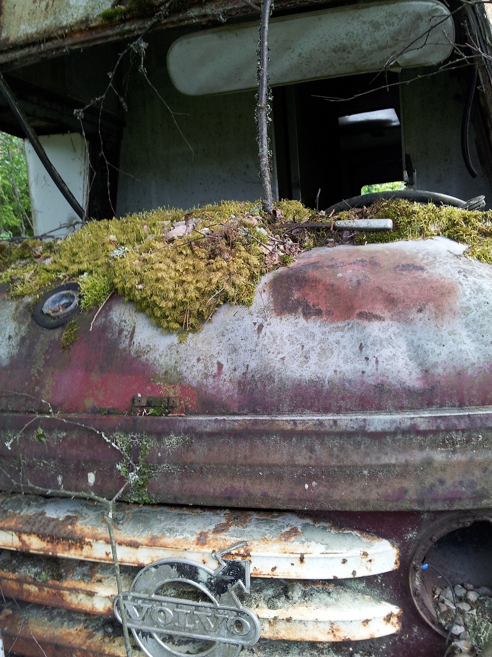 Skrotsafari 120604 1a.jpg, 626.1 kb, 1000 x 1333