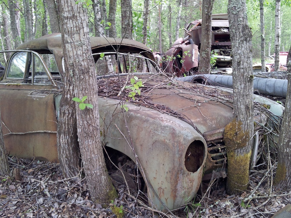 Skrotsafari 120604 1b.jpg, 437.42 kb, 1000 x 750