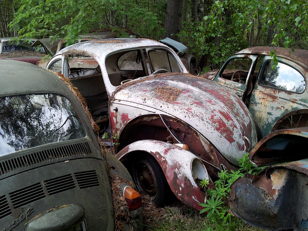 Skrotsafari 120604 1c.jpg, 442.53 kb, 1000 x 750