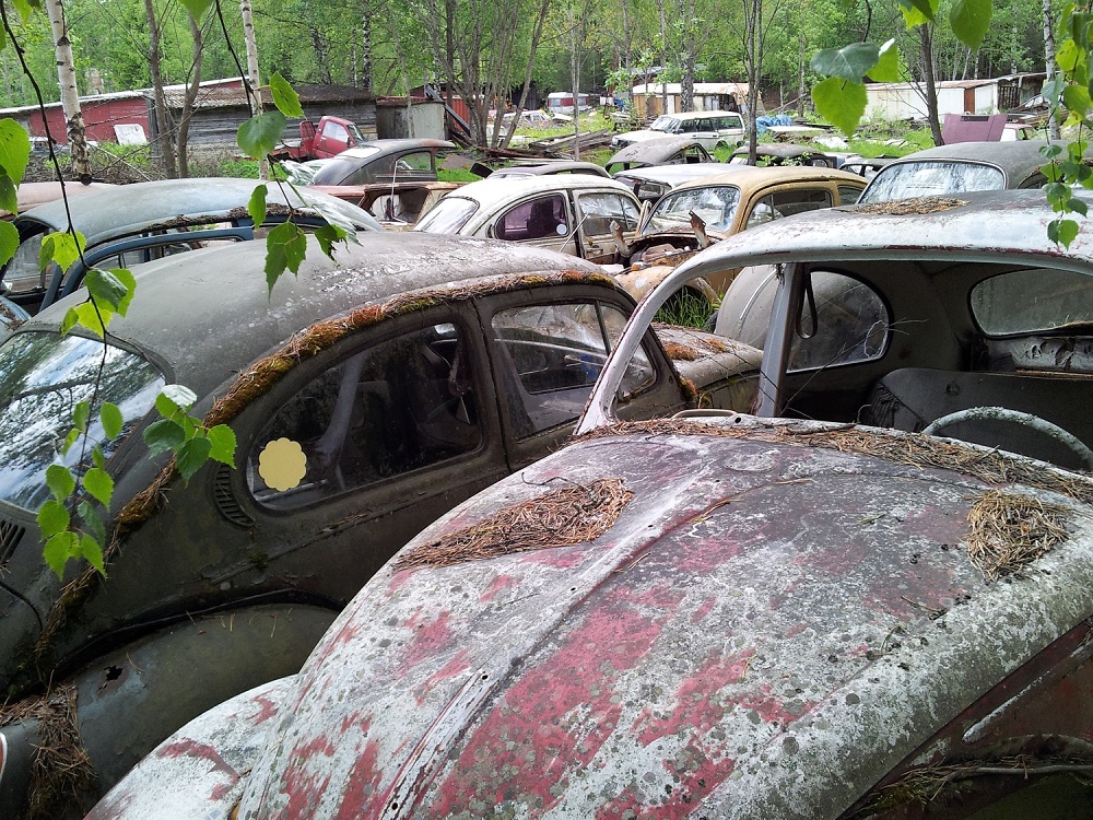 Skrotsafari 120604 1e.jpg, 456.47 kb, 1000 x 750