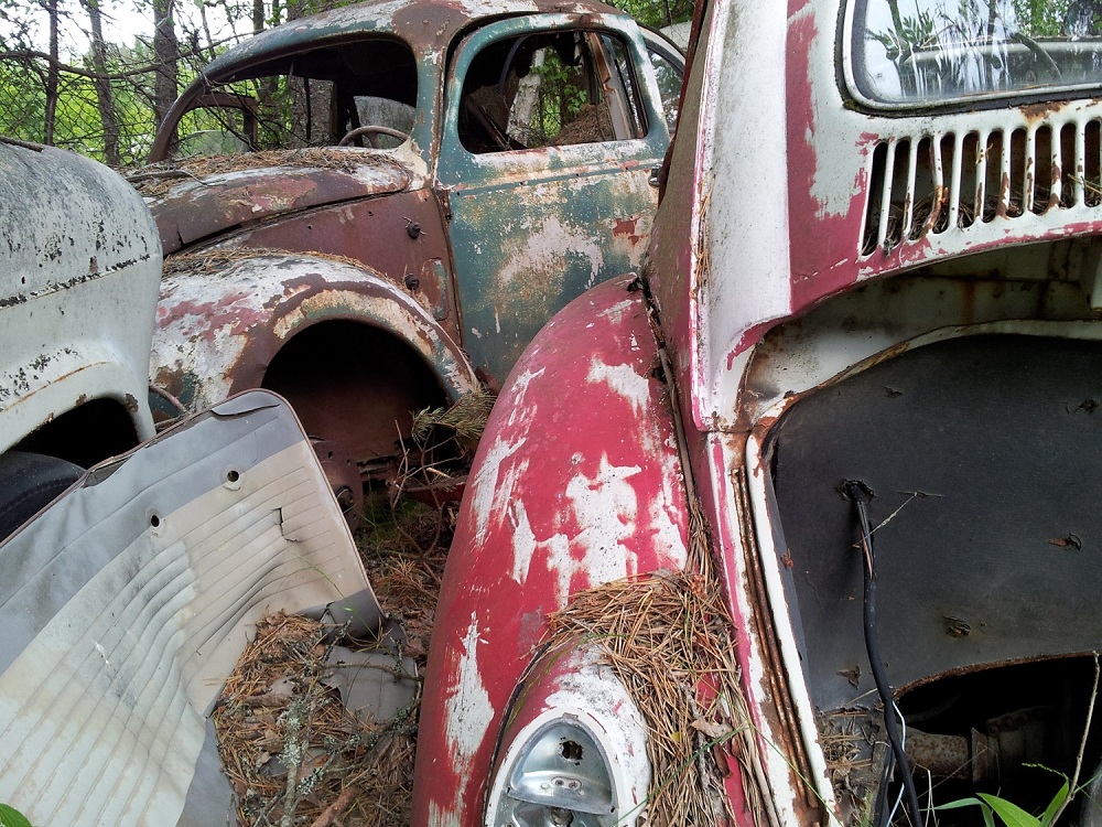 Skrotsafari 120604 1f.jpg, 386.02 kb, 1000 x 750