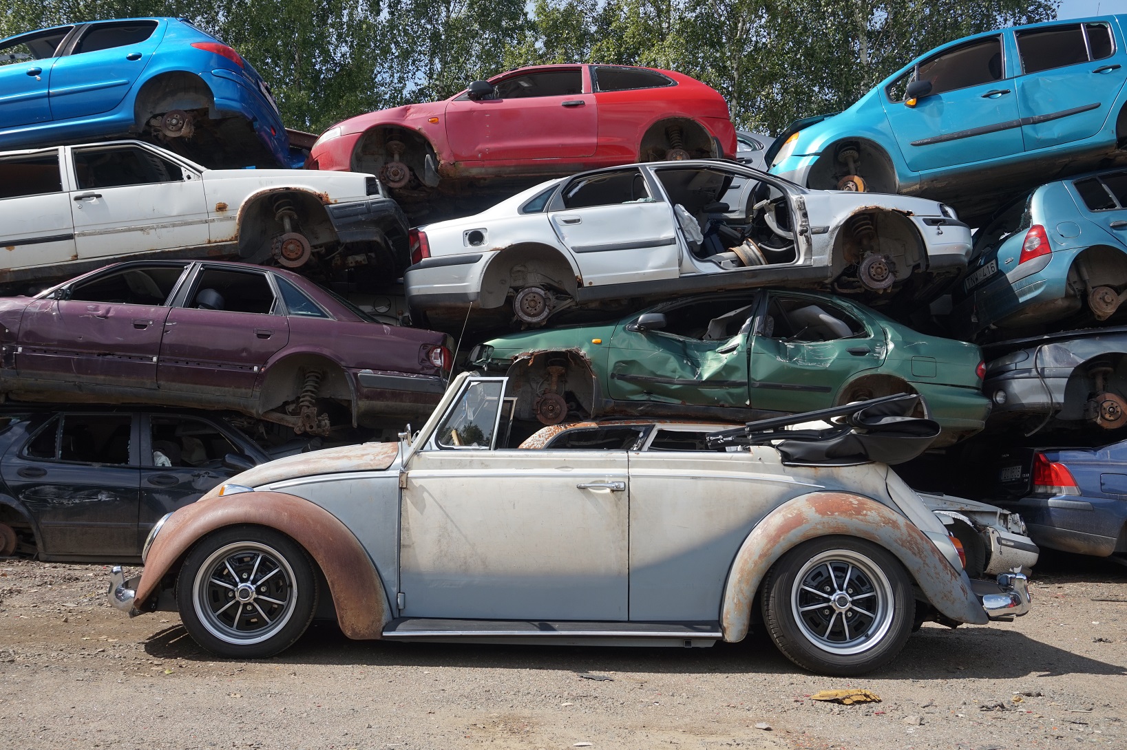 DSC07937-OK.jpg, 794.72 kb, 1637 x 1090