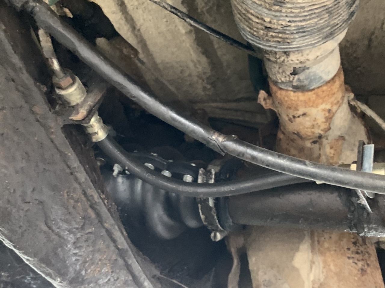 D2D56F16-B587-4D0F-961D-14CECAF1CF2B.jpeg, 311.7 kb, 1280 x 958