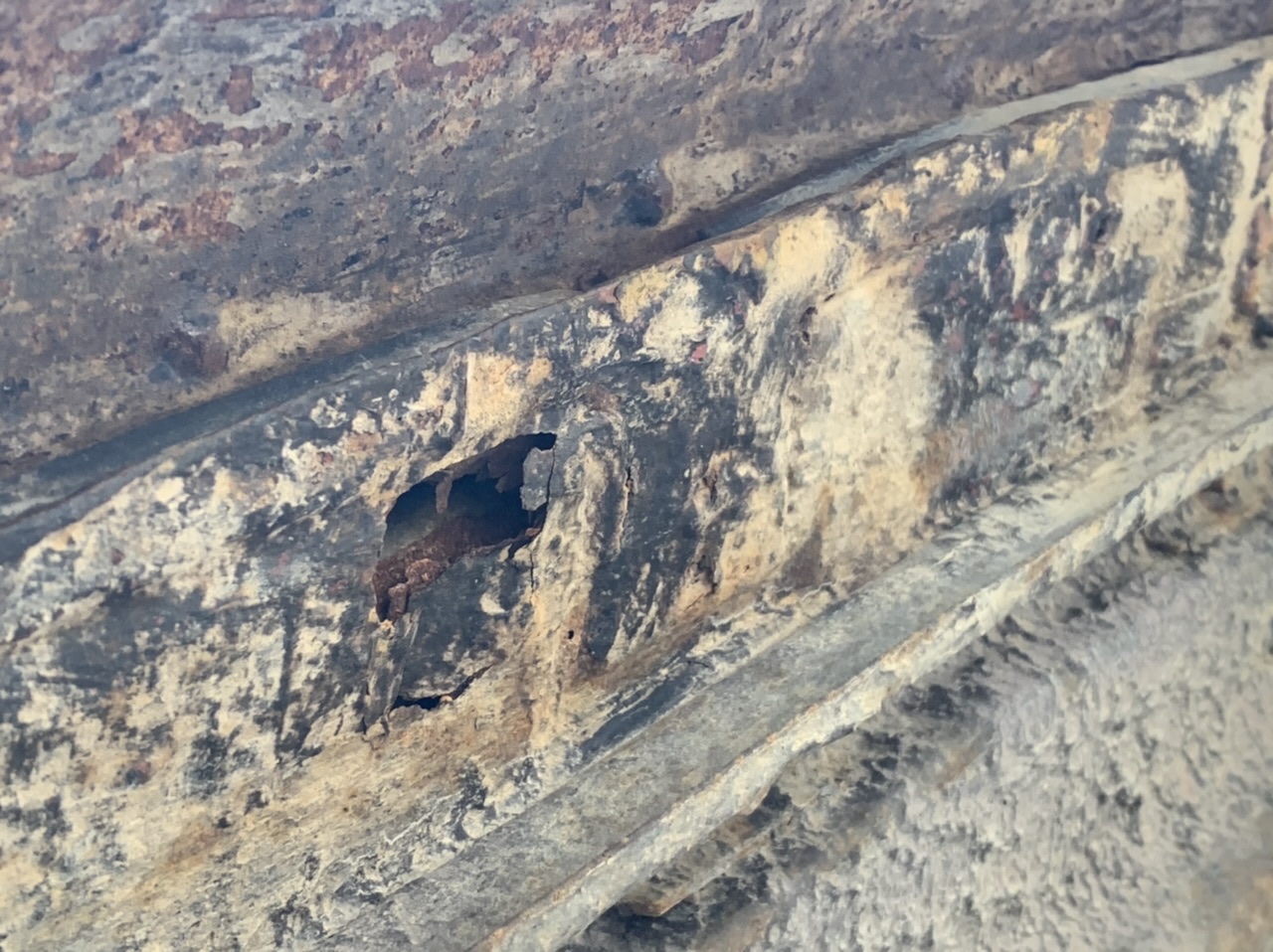 92FD042B-BB26-46F8-93FA-94CD88EC289B.jpeg, 409.29 kb, 1280 x 958