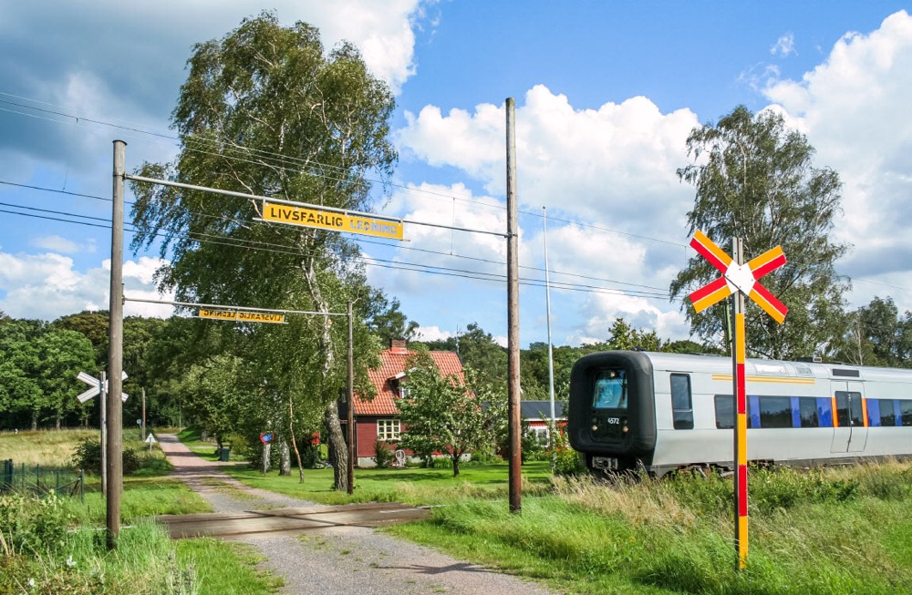 5EB0DC2F-72D5-4EF1-8C51-DE4B06D97609.jpeg, 274.97 kb, 1000 x 653