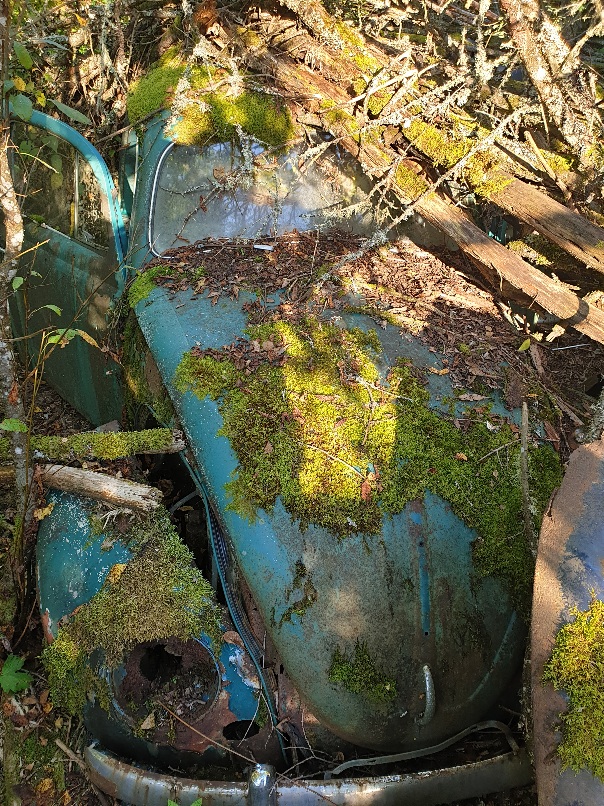 20200816_210358.jpg, 342.3 kb, 604 x 806