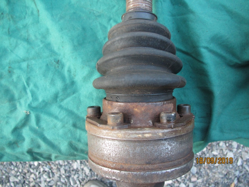 IMG_8880 (800x600).jpg, 276.6 kb, 800 x 600